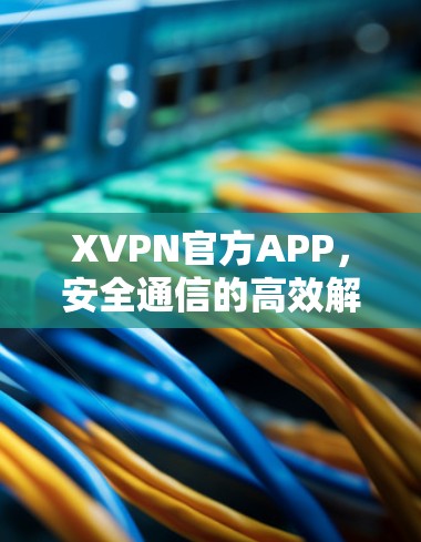 XVPN官方APP，安全通信的高效解决方案