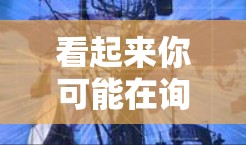 看起来你可能在询问有关X代理工具的信息,但没有提供足够的上下文。为了更好地帮助你,请提供以下详细信息 看起来你可能在询问有关X代理工具的信息,但没有提供足够的上下文。为了更好地帮助你,请提供以下详细信息