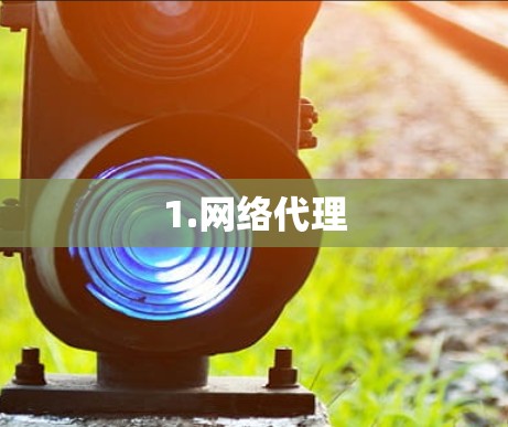 1.网络代理