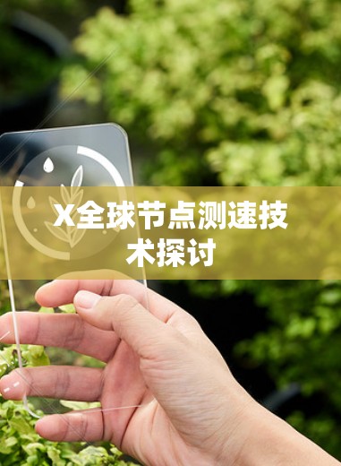 X全球<strong>节点测速</strong>技术探讨