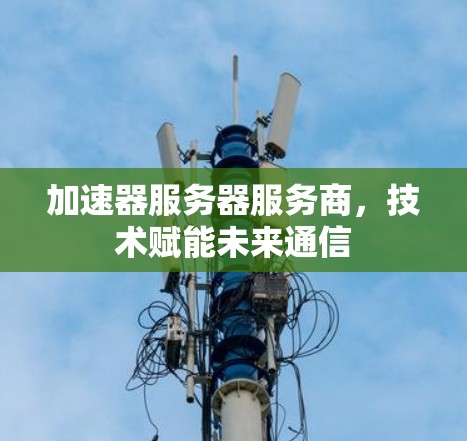 加速器服务器服务商，技术赋能未来通信