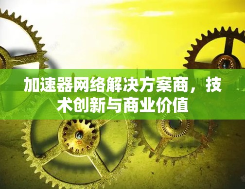 加速器网络解决方案商，技术创新与商业价值