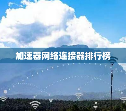 加速器网络连接器排行榜