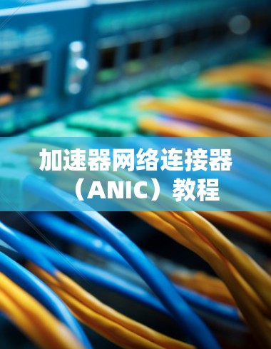 加速器网络连接器（ANIC）教程