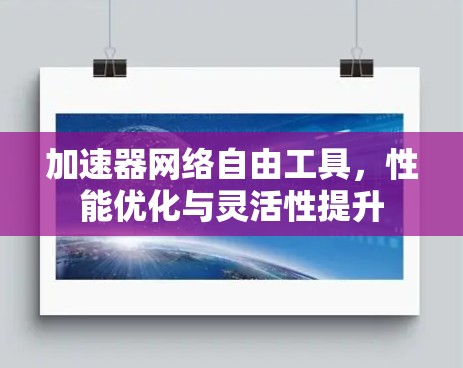 加速器网络自由工具，性能优化与灵活性提升