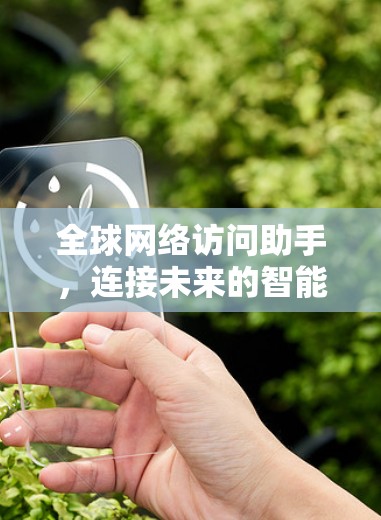 全球网络访问助手，连接未来的智能桥梁