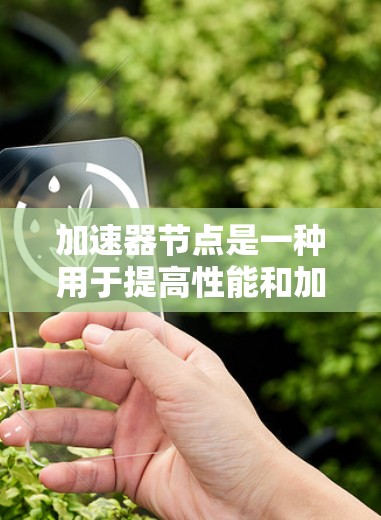 加速器节点是一种用于提高性能和加速任务处理的技术，常见于网络、数据处理等领域。以下是使用加速器节点的分步指南
