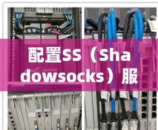 配置SS（Shadowsocks）服务器是一个分步骤的过程，以下是详细的指南，帮助你顺利完成配置