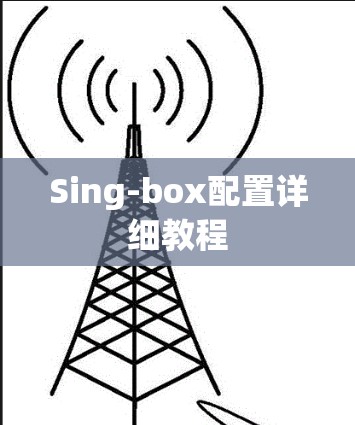 Sing-box配置详细教程
