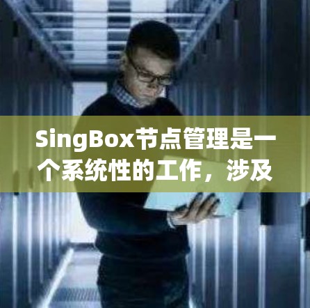 SingBox节点管理是一个系统性的工作，涉及多个方面，确保网络的稳定和安全。以下是对SingBox节点管理的分步总结