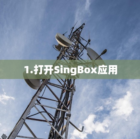 1.打开SingBox应用