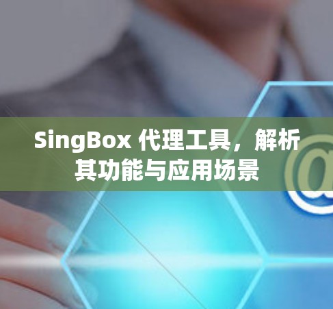 SingBox 代理工具，解析其功能与应用场景