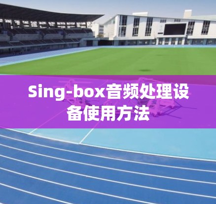 Sing-box音频处理设备使用方法
