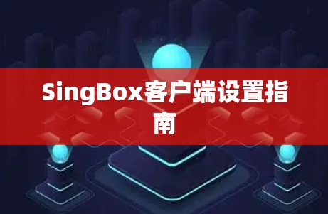 SingBox客户端设置指南