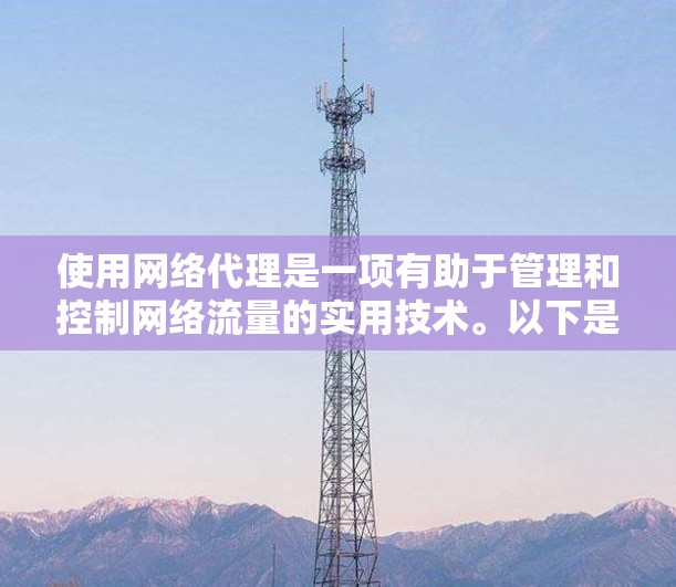 使用网络代理是一项有助于管理和控制网络流量的实用技术。以下是使用网络代理的详细步骤指南