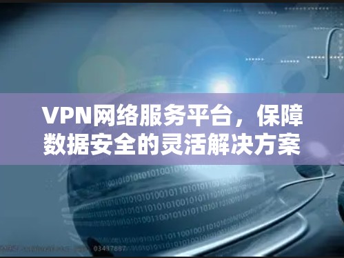 VPN网络服务平台，保障数据安全的灵活解决方案