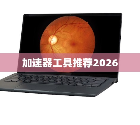 加速器工具推荐2026