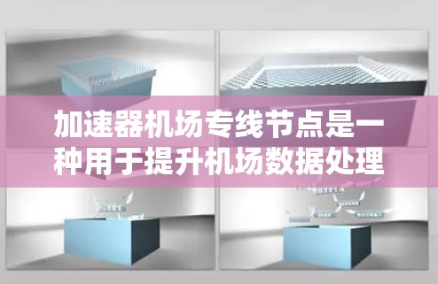 加速器机场专线节点是一种用于提升机场数据处理效率的高性能计算节点，专门为机场的飞行信息处理、行李管理、安全监控等业务提供加速服务。以下是对该概念的详细分析