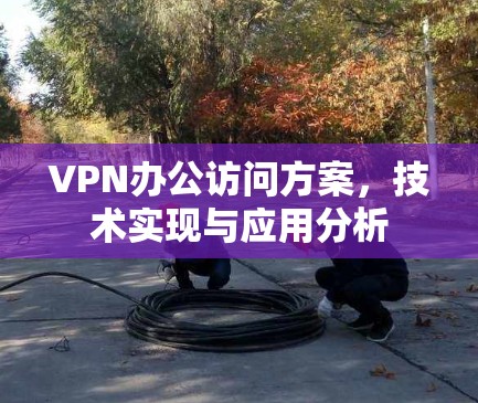 VPN办公访问方案，技术实现与应用分析