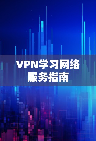 VPN学习网络服务指南 VPN学习网络服务指南