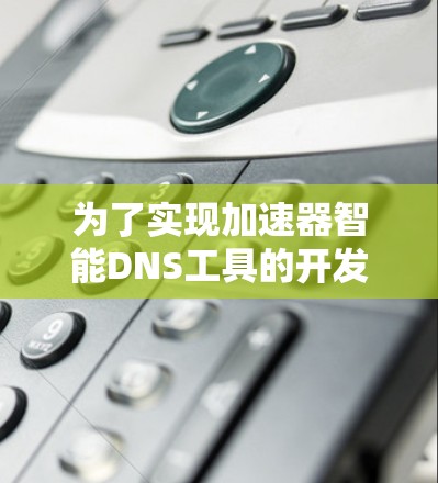 为了实现加速器智能DNS工具的开发和部署，以下是分步骤的解决方案