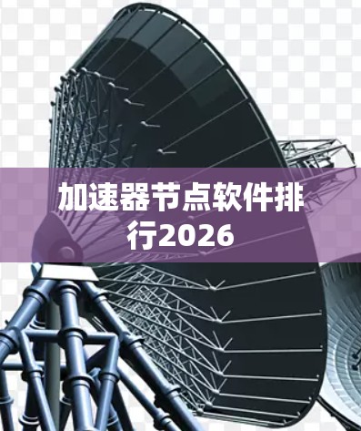 加速器节点软件排行2026