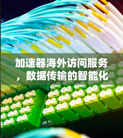 加速器海外访问服务,数据传输的智能化与高效率