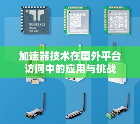 加速器技术在国外平台访问中的应用与挑战