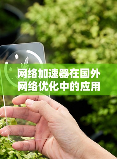 网络加速器在国外网络优化中的应用与技术挑战