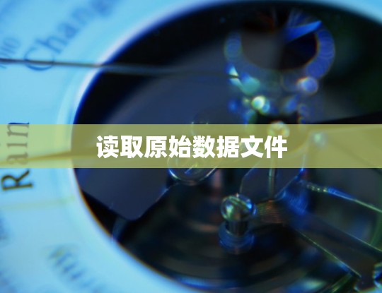 读取原始数据文件 读取原始数据文件
