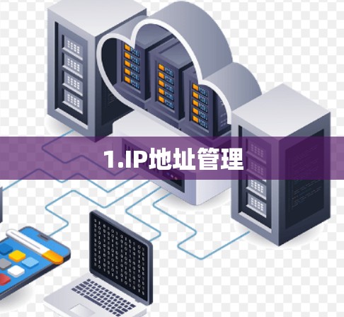 1.IP地址管理 1.IP地址管理