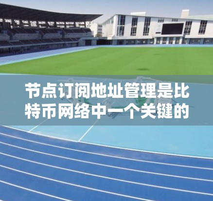 节点订阅地址管理是比特币网络中一个关键的功能,用于维护和管理节点之间的连接信息。以下是关于节点订阅地址管理的详细步骤和建议 节点订阅地址管理是比特币网络中一个关键的功能,用于维护和管理节点之间的连接信息。以下是关于节点订阅地址管理的详细步骤和建议
