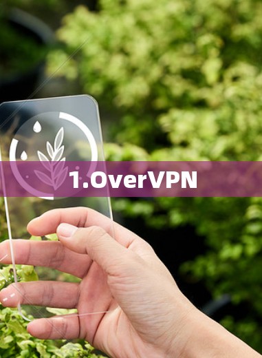 1.OverVPN