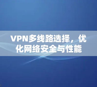 VPN多线路选择,优化网络安全与性能的关键 VPN多线路选择,优化网络安全与性能的关键