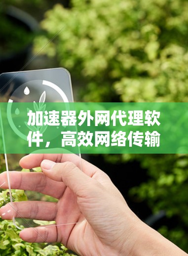 加速器外网代理软件，高效网络传输的关键技术