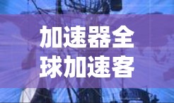 加速器全球加速客户端是一个高效的网络优化工具，旨在通过多种技术手段加速数据传输，提升整体网络性能。以下是对其功能、使用场景、配置、技术实现、优化实例及安全性的详细分析