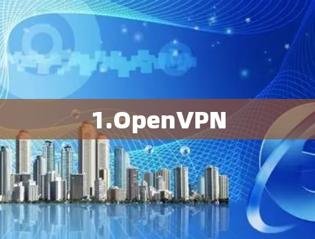 1.OpenVPN