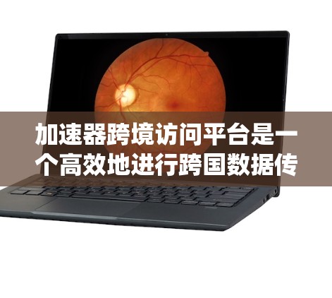 加速器跨境访问平台是一个高效地进行跨国数据传输和访问的解决方案,旨在解决传统网络传输中的延迟和带宽瓶颈。以下是对该平台的详细分析和总结 加速器跨境访问平台是一个高效地进行跨国数据传输和访问的解决方案,旨在解决传统网络传输中的延迟和带宽瓶颈。以下是对该平台的详细分析和总结