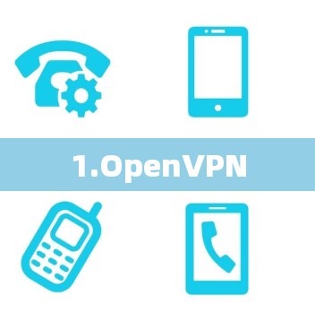 1.OpenVPN