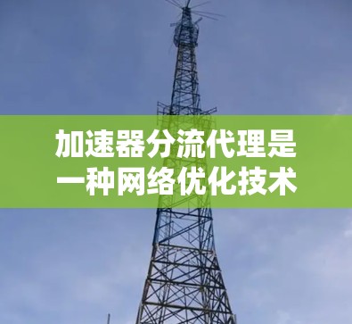 加速器分流代理是一种网络优化技术，主要用于在数据传输过程中加速流量并进行分流管理。以下是关于加速器分流代理的详细说明和配置步骤
