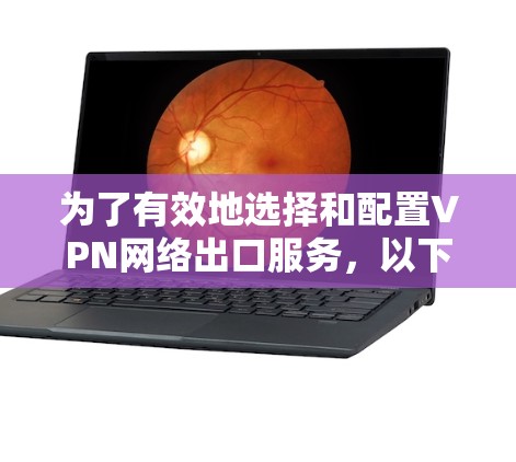 为了有效地选择和配置VPN网络出口服务,以下是一份详细的步骤指南 为了有效地选择和配置VPN网络出口服务,以下是一份详细的步骤指南