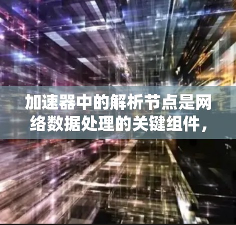 加速器中的解析节点是网络数据处理的关键组件，负责解析和处理数据包，以支持后续的网络功能如防火墙、负载均衡和流量统计等。以下是解析节点的详细分析