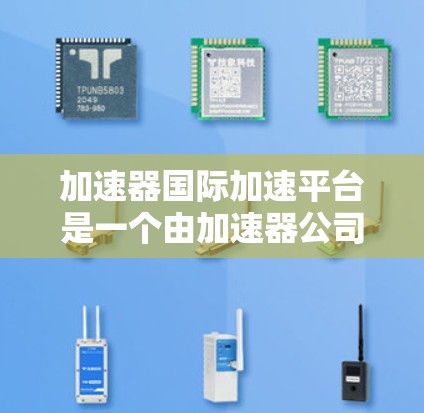 加速器国际加速平台是一个由加速器公司运营的高性能开源平台，专为数据科学家、研究人员和开发者设计，旨在加速数据处理、模型训练和应用开发。以下是对该平台的详细分析和总结