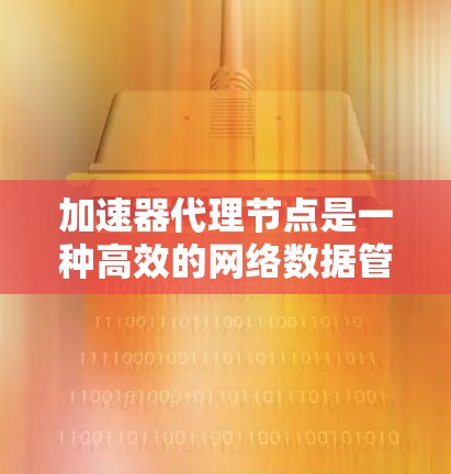 加速器代理节点是一种高效的网络数据管理和传输技术，广泛应用于数据加速、负载均衡和容灾备份等领域。以下是其核心功能和实际应用中的详细分析