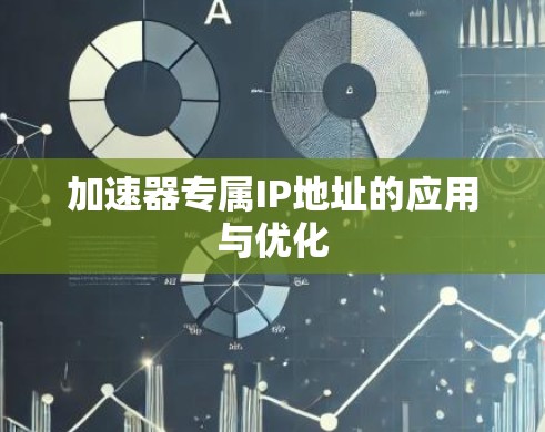 加速器专属IP地址的应用与优化