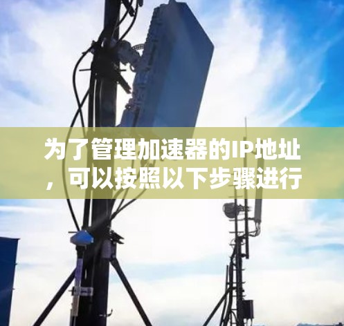 为了管理加速器的IP地址，可以按照以下步骤进行