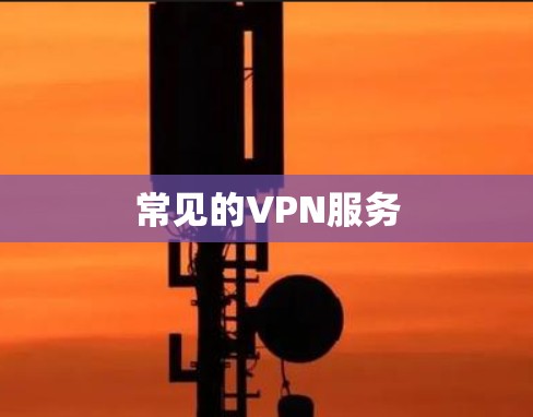 常见的VPN服务