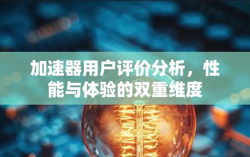 加速器用户评价分析，性能与体验的双重维度
