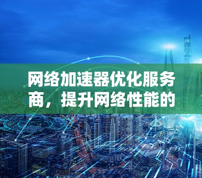 网络加速器优化服务商，提升网络性能的专家