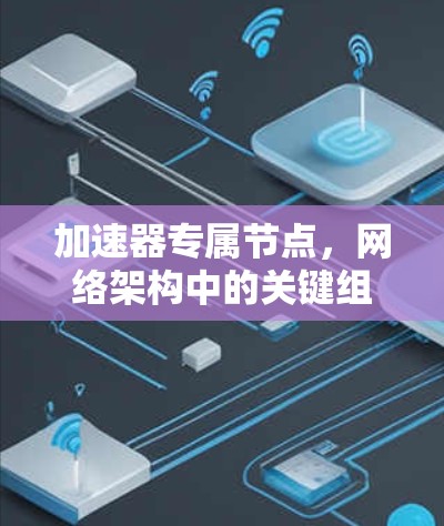 加速器专属节点,网络架构中的关键组件分析 加速器专属节点,网络架构中的关键组件分析